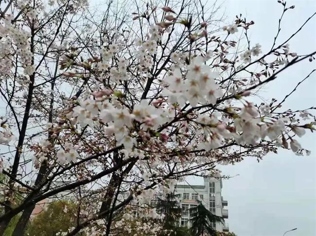 微信图片_20210406134252.jpg