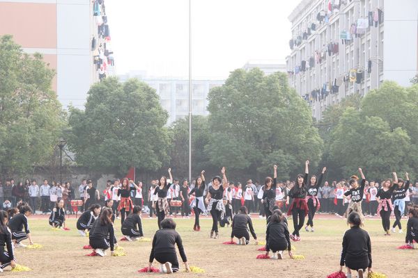 nEO_IMG_图三.jpg