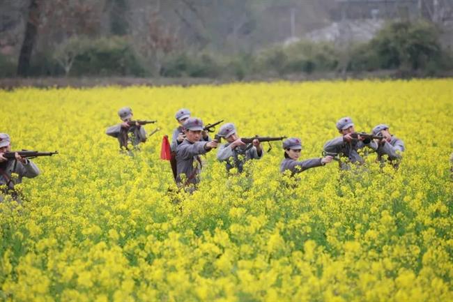 微信图片_20230314154947.jpg 微信图片_20230314154947.jpg